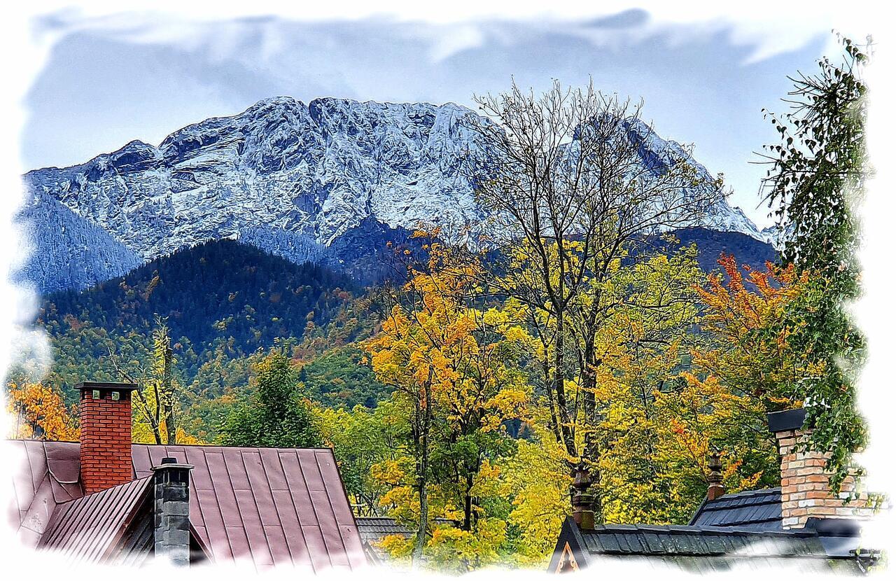 Tatra View Daire Zakopane Dış mekan fotoğraf